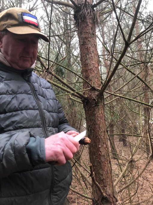 hout snijden met dual force