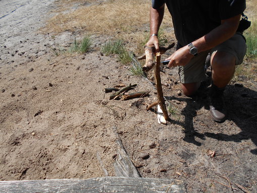 Hout splijten